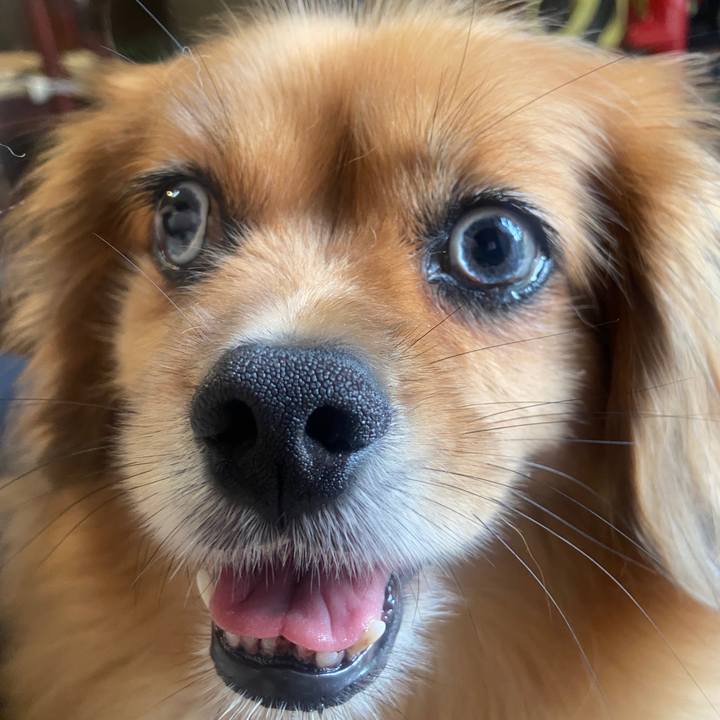 965af5be 8ee2 47c9 ad6c 7beee8e2f65d 1660263121936