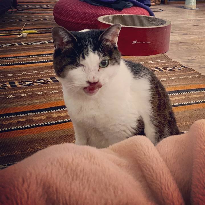 965b1271 346a 41e8 a972 495f8fc2c07d 1583654215470