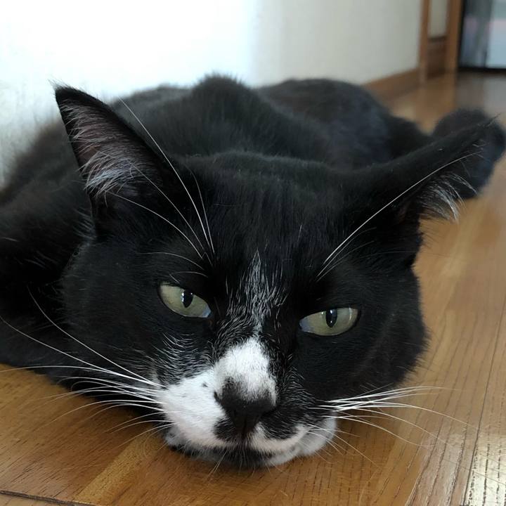 965b4627 991d 4e94 918e 16a7247e6905 1566631505360