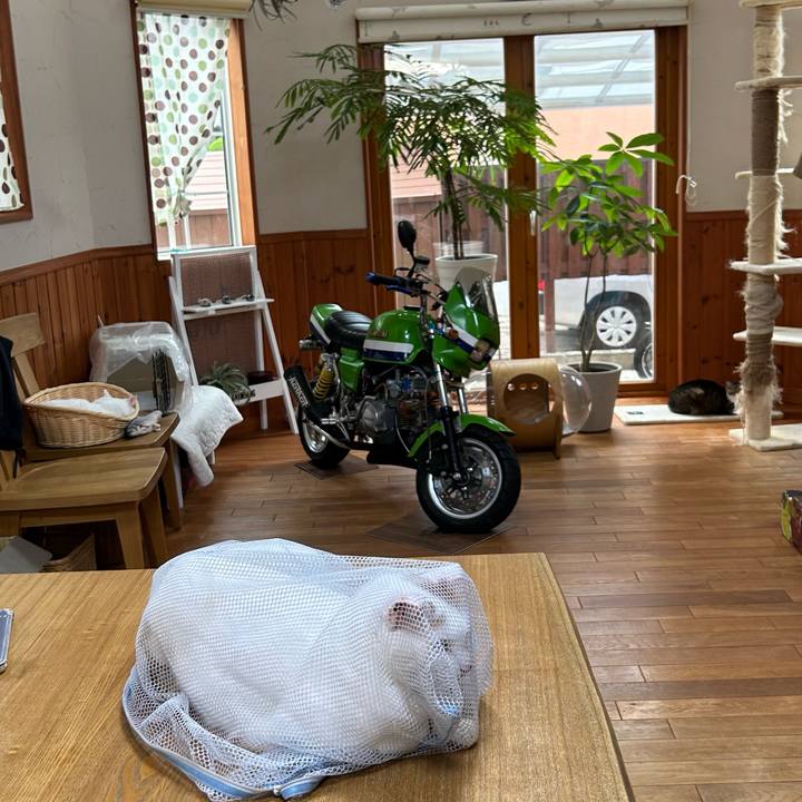 965b49c7 8756 4dbd b205 be214eb57592 1689716964289