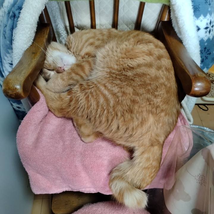 965b514c 925b 470c ad23 18f68c8097f8 1670200068090