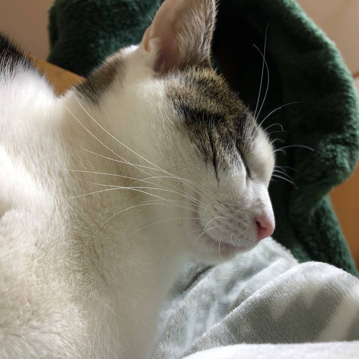 965b8961 0054 40ab 8d89 cb05441a8c5c 1610288033318