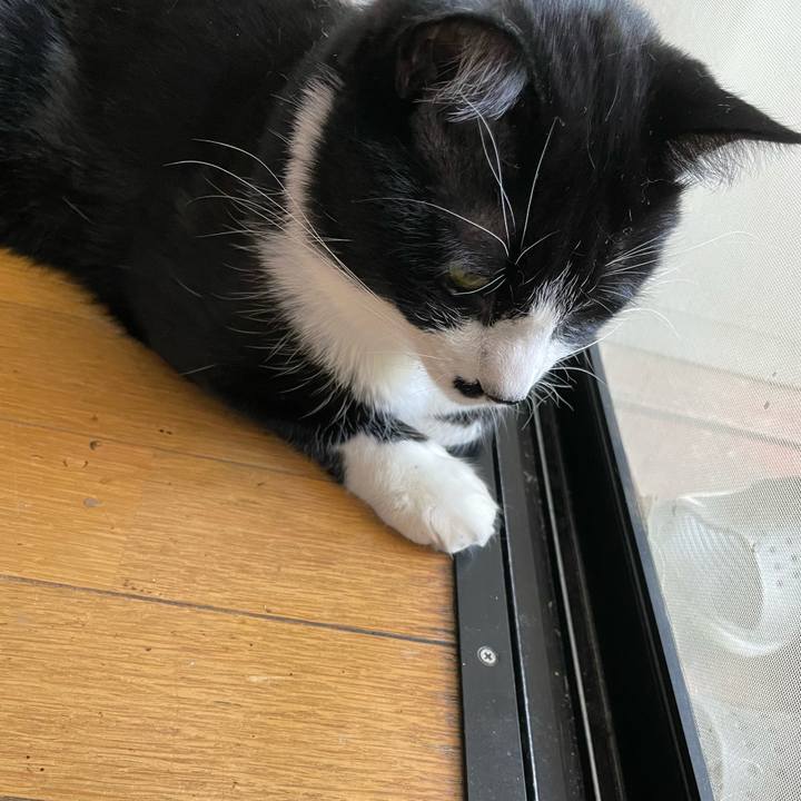 965bcdb1 6072 47d9 bfcb 4f82078d238f 1653719983649