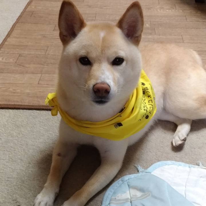 965c28db 76b4 4b2b 8e0a a92d2ae713e3 1560328884616