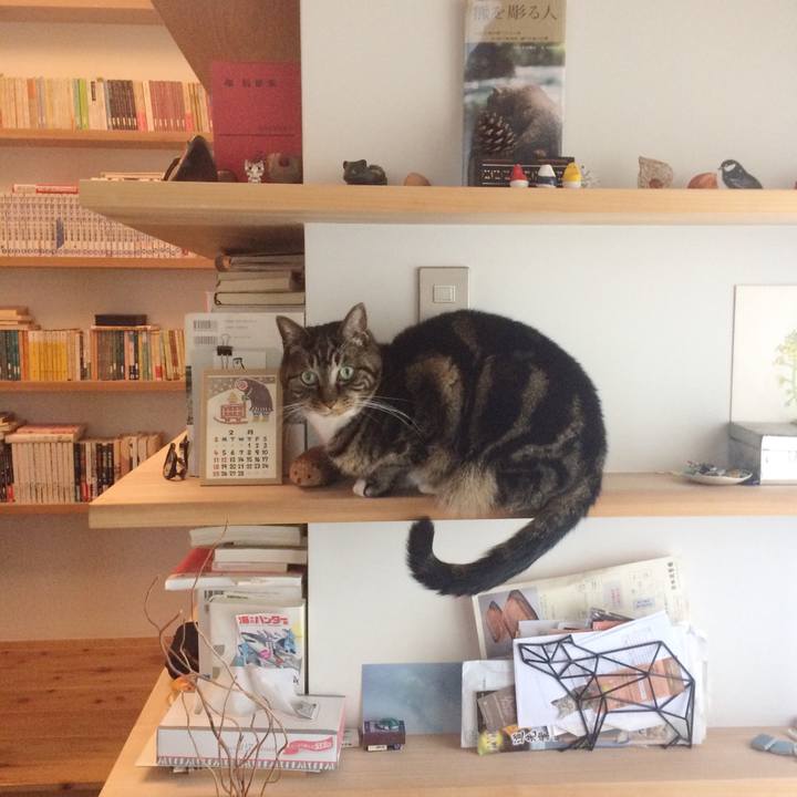 965c357c 8b96 475c b15e 88d6538aba3e 1517874489114