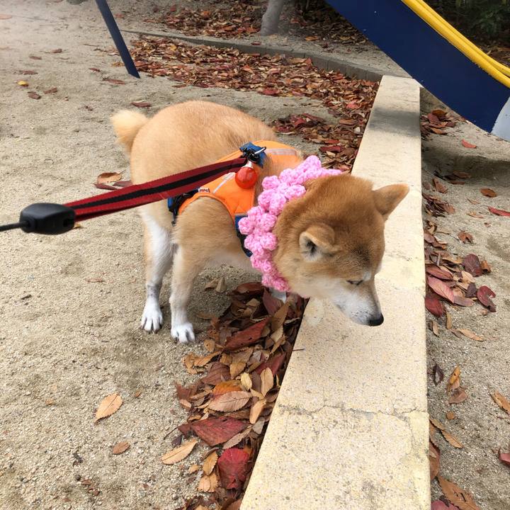 965c361b b854 4fdc 9f0e 52c99c8ae991 1575726992210