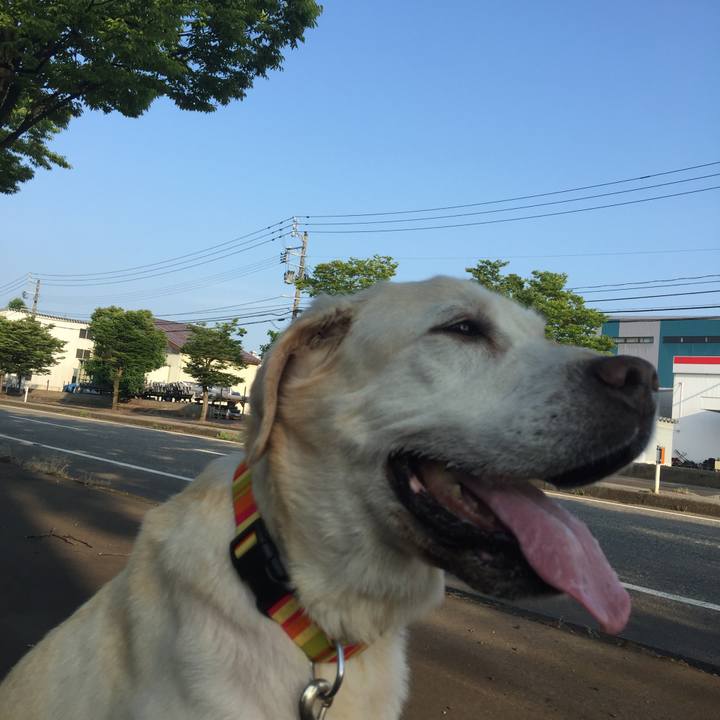 965c38e3 d0e5 4e3d b174 2e64f743767f 1626592360957