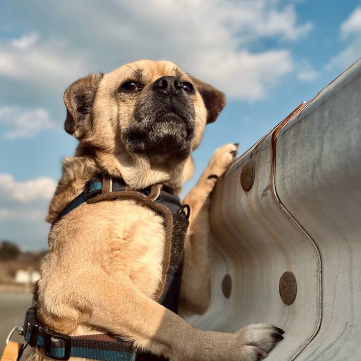 965c51a0 0ae4 4b4e a374 9af4fae9f8ff 1769947971517