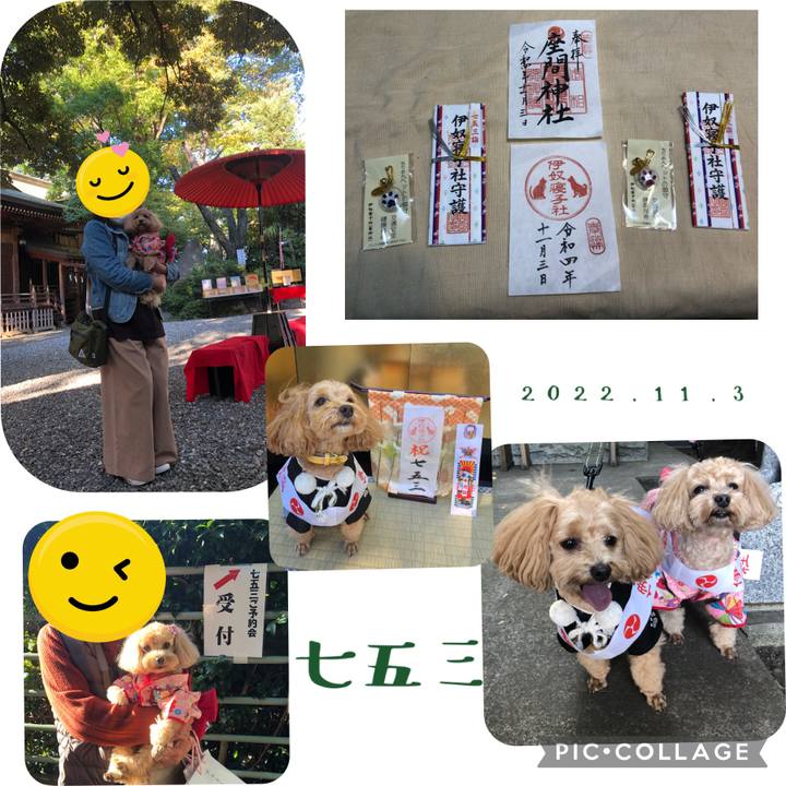 965c6600 b41e 4b00 9e00 34047fa9e2d7 1667473223212