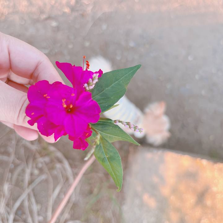 965c91a6 0854 40b6 b8ab 91aa5c8f13a4 1664524907267