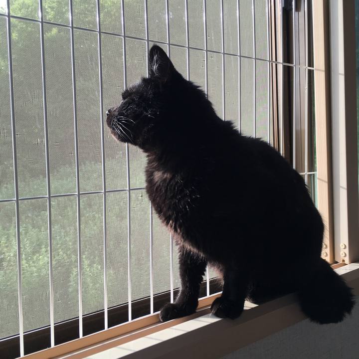 965caa0f 2f4e 4110 8cf3 c6db19997407 1562447211566