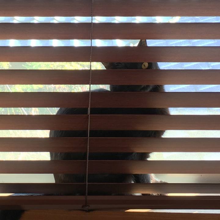 965cc634 217d 426b b9f6 9f314a41a3cf 1542503307823