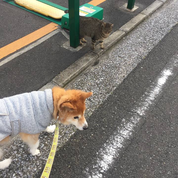 965cdb4c bb4b 4fcb af0c a4f6d2ee3a74 1536800080310