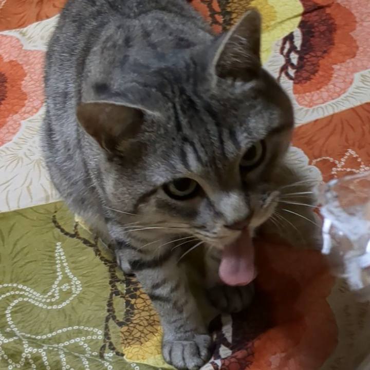 965ce900 723c 4d61 b8b1 a4e8555ae7d2 1696510486902