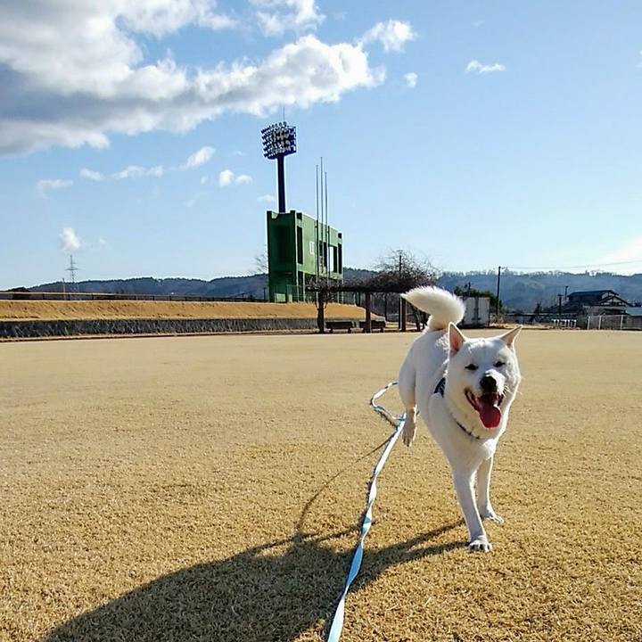 965cf0d3 ec6b 4367 a2c3 031b6cc0e05a 1614996355762