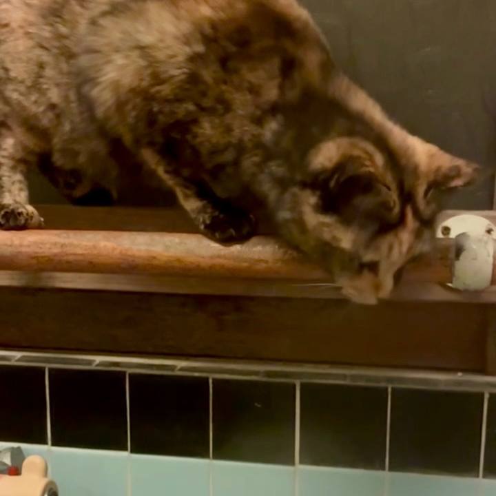 965cf1a6 1f80 4eb6 ac18 03da226c8c2b 1767819061393