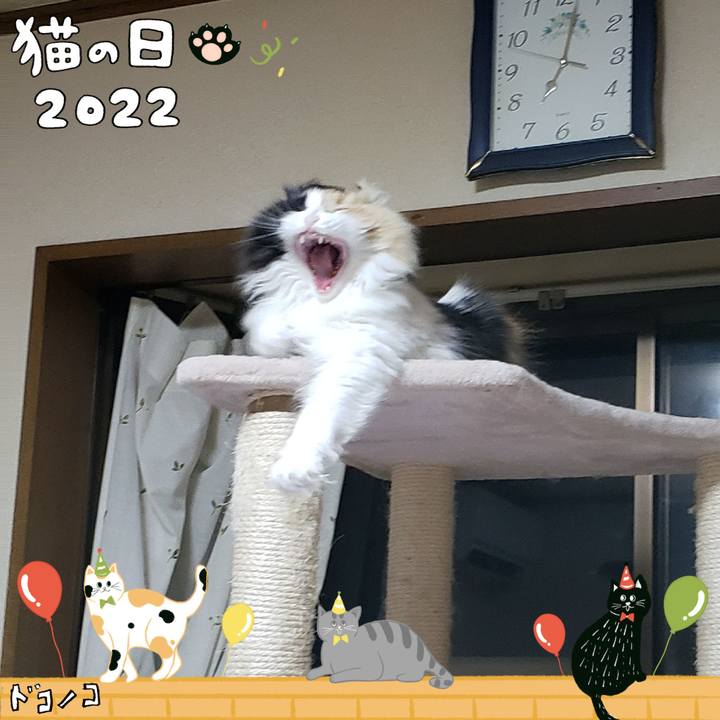 965cf8c8 87fa 4a84 90eb 679d1f062a90 1645492939443