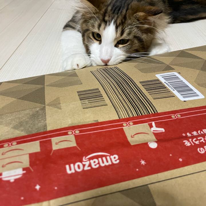 965d25f3 bb6e 4649 869e cdc05b1ed2dd 1640264669729