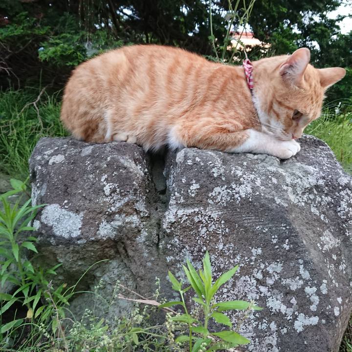 965d40bb 3587 482c 9977 e6031544e70c 1562062005537