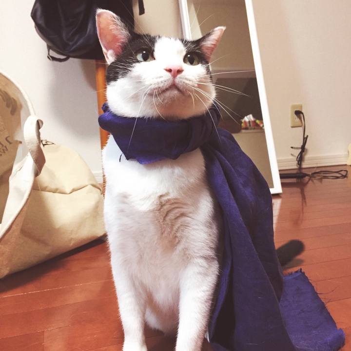 965d837a dc4c 4bdb 8246 2b00f787b6f9 1516179902232