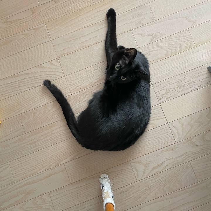 965db128 3da6 4f65 9864 023c3bf9f82b 1677975984175