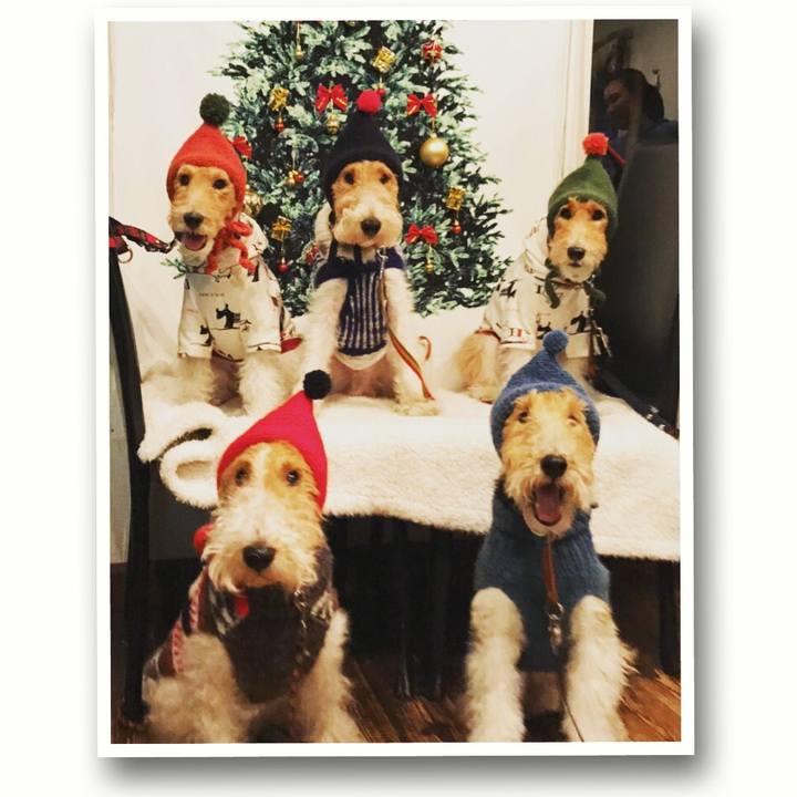 965dd178 0a5d 4f00 bf96 08a0ed2e9449 1512650725268