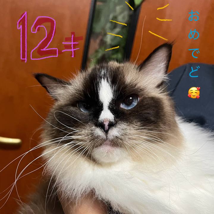 965de6df 0ed7 4bf1 a77c 54ac46cd6310 1728637549802