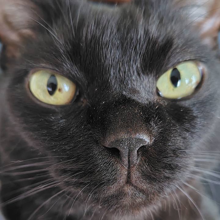 965deea3 07e8 437c 949f 1fdfe383a129 1754779703853