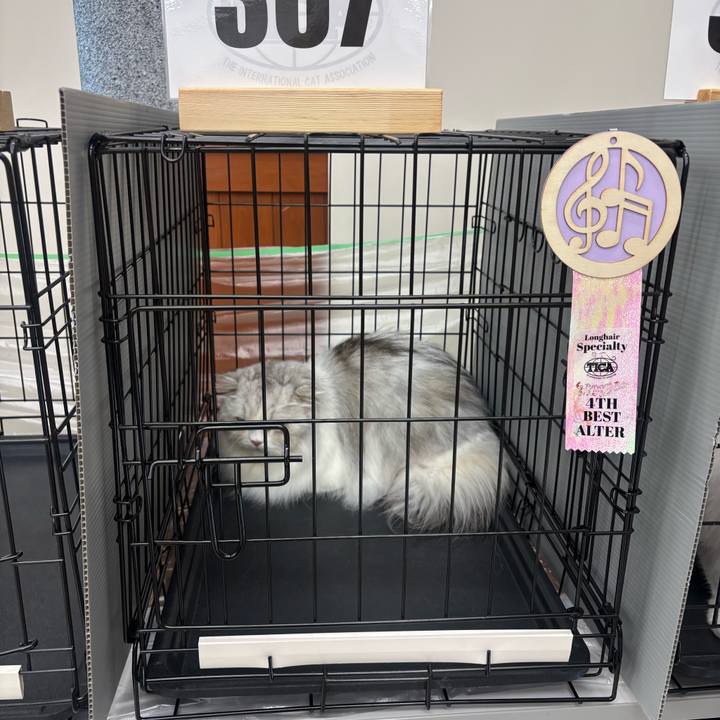 965e2367 6b4c 4a34 85f0 01993a081335 1751983304964