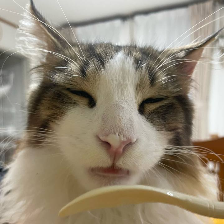 965e2be1 980c 46e9 9704 8e6710fcf823 1638997133470