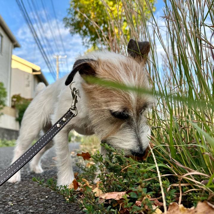 965e9f91 5ca3 4830 b1da 12665846caa5 1729592346396