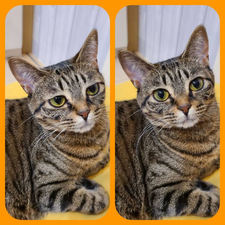 965ebe9a e2d7 4285 9502 2b90bd29a178 1603209245422