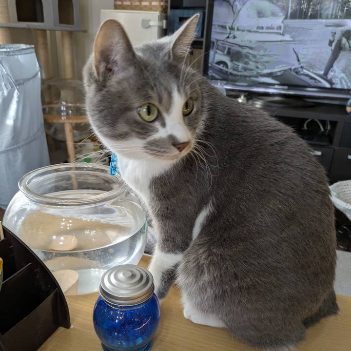 965ec30a c8bc 4581 b6e9 39a0575a1a3d 1767143288820