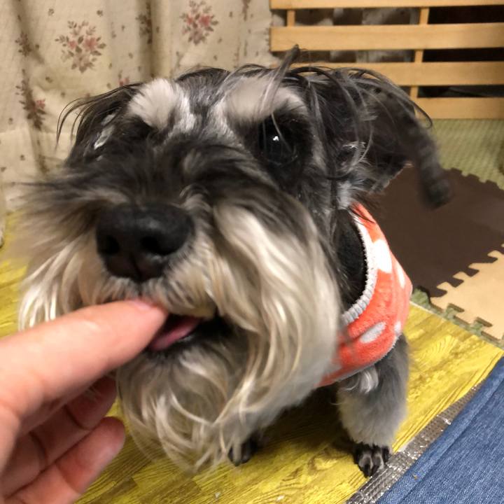 965eeb89 698e 4b1c b5c7 1af8621c1e91 1682260467252