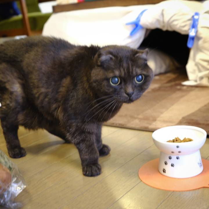 965f1637 e6e7 4223 8866 c82a1de11890 1641805921361