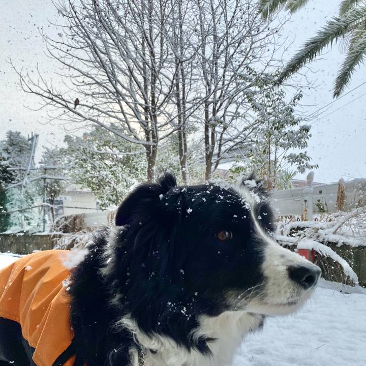 965f410f 3656 442e a984 4deba2e3051d 1613606746799