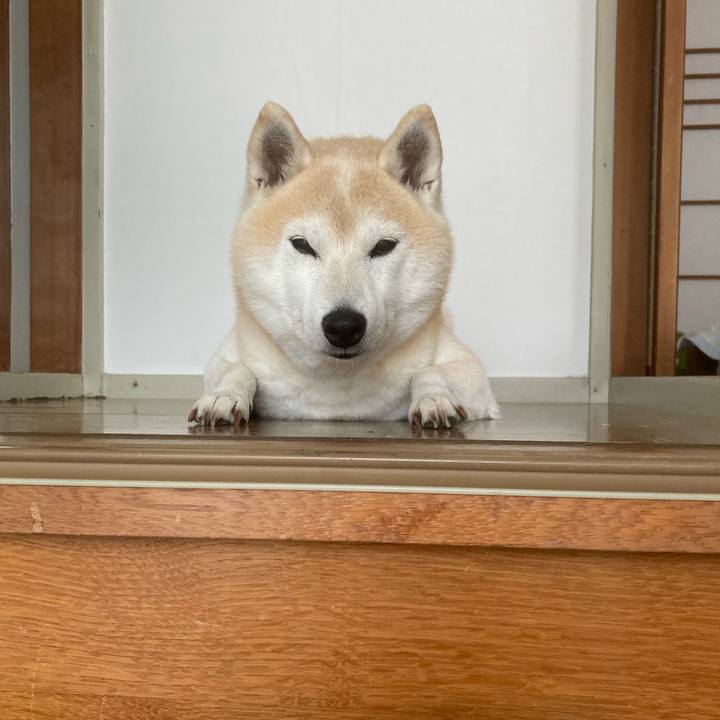 965fa450 c1e0 4394 aeb8 44528eed368a 1645373591227