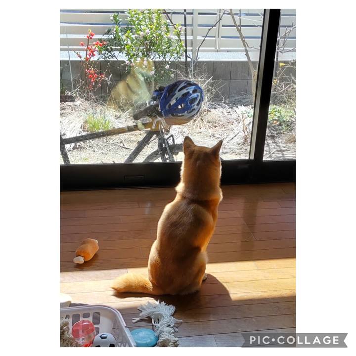 965fbadb a6e6 4dbd a6fb 25147dd2fb6f 1710299426646