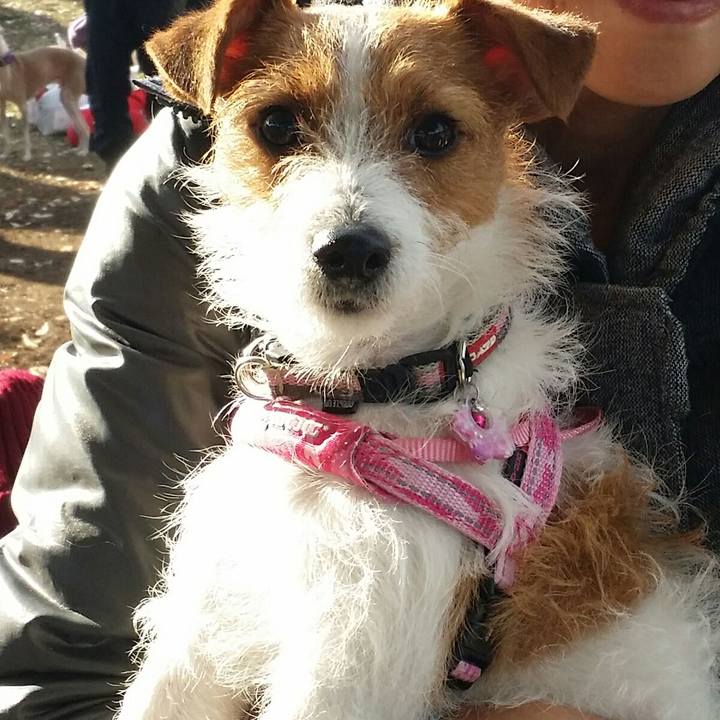 965ff68d 13b9 4e7a b728 53adf59bc15d 1512031998546