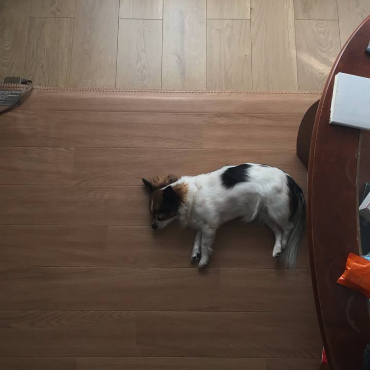 966057e9 066a 4a78 a663 42b63a3afd7c 1546908675780