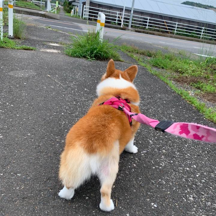 96605802 6468 41ab 848e 1249b11e5bcc 1721185209963