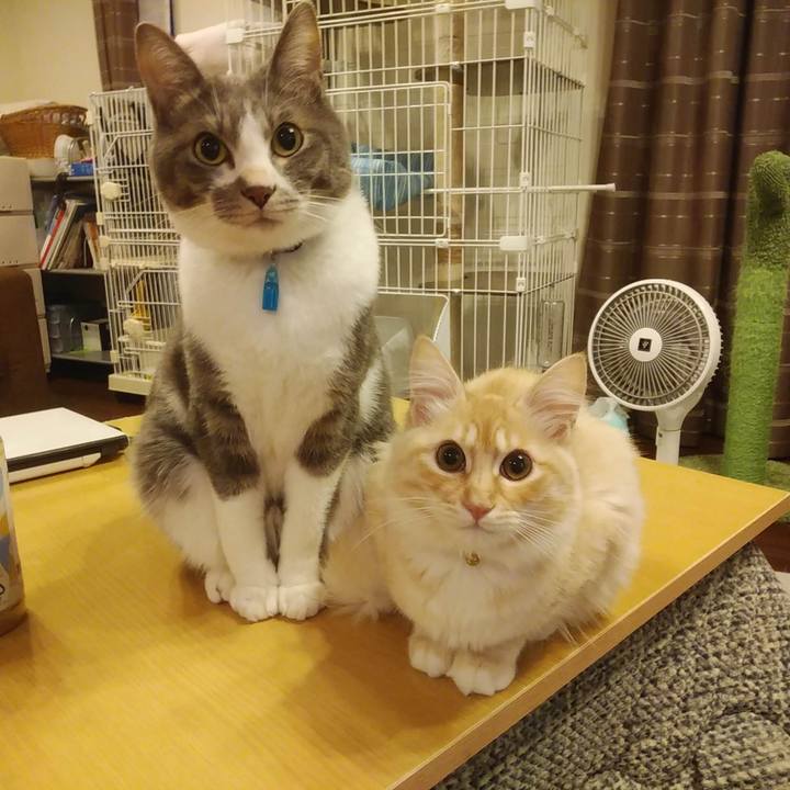 966081e7 2990 4b4b 8a03 42e04a29475a 1613080298825