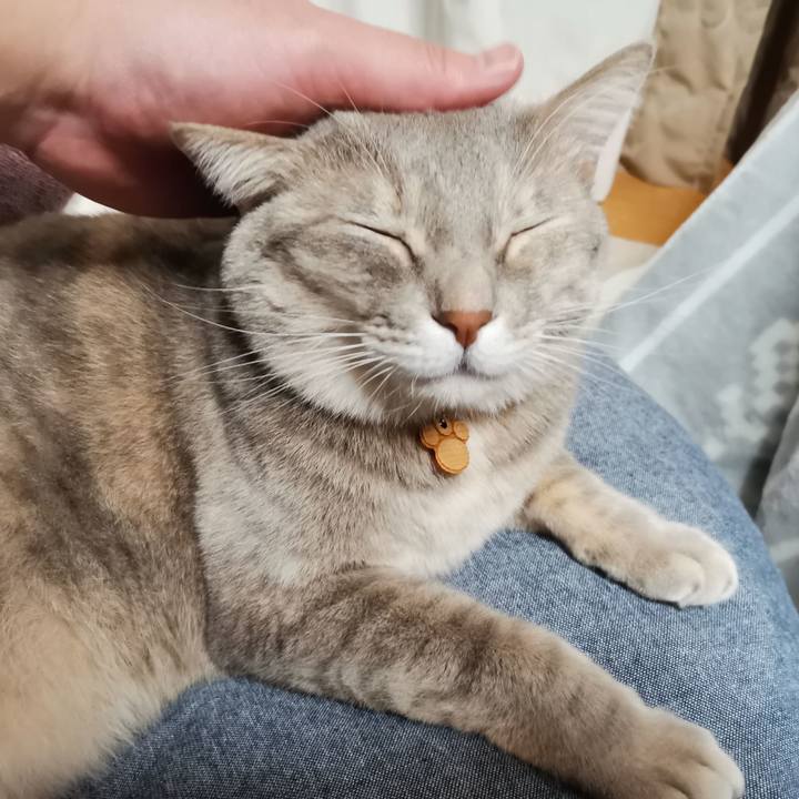 96608866 0a9e 46a9 98e5 c656e8af61ae 1604586317125