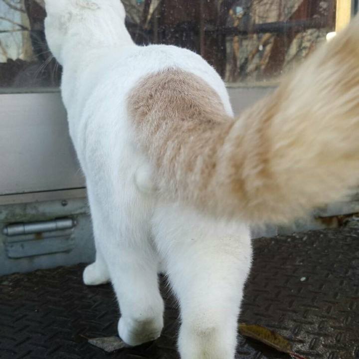 96609c9f c86d 4535 a9c0 7b6a49c2074d 1512449806168