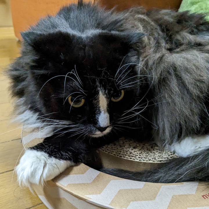 96609d57 876c 4462 9fb4 94166e557ee8 1679223367388