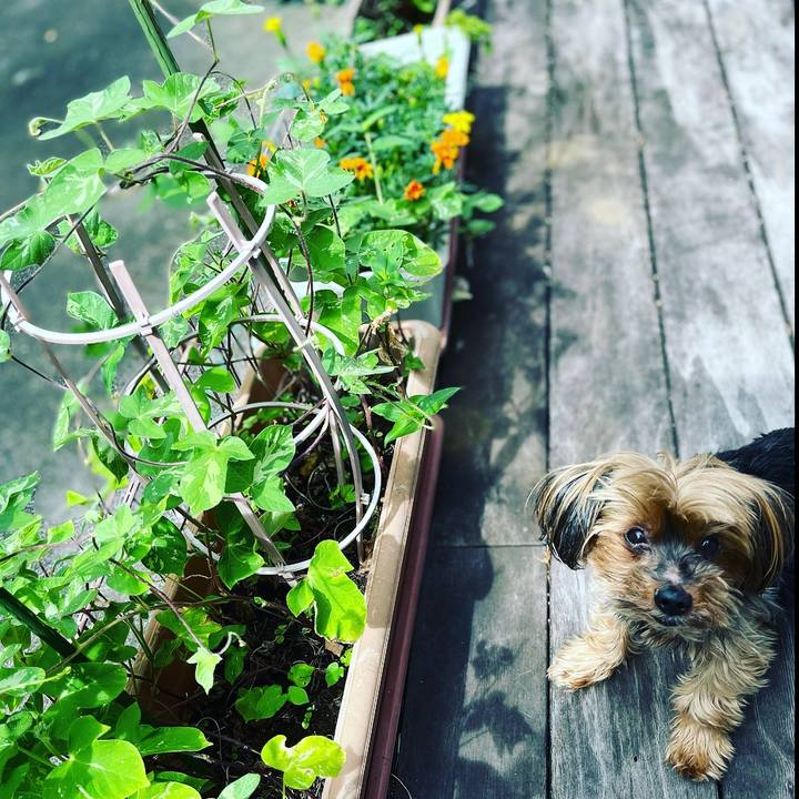 9660bc97 ca13 4cd6 89ea fd7b50eb7197 1657153443179