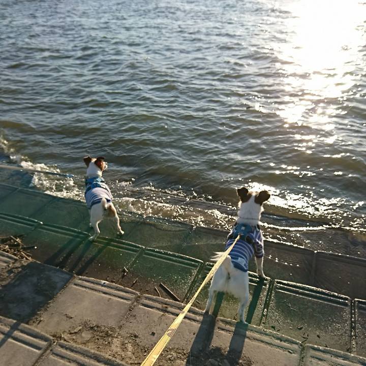 9660c17b 3836 493b 8dd4 c1e87531e6fe 1585041966895