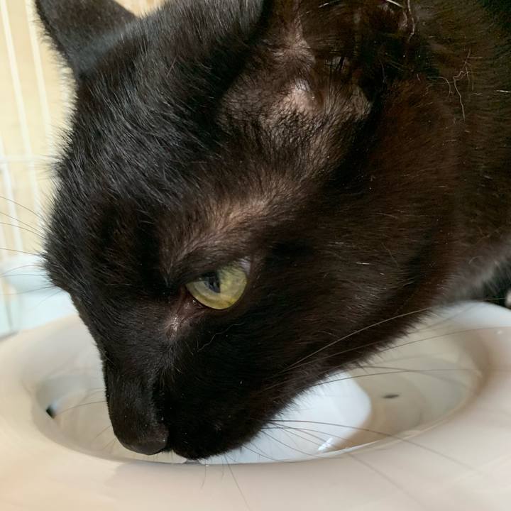 9660d515 6e16 4747 ab3f 1e5438eca490 1555896688064