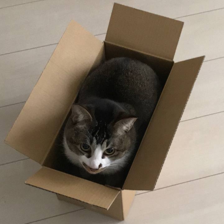 9660d85a f70b 4af0 8db2 784c06548d23 1523529699562