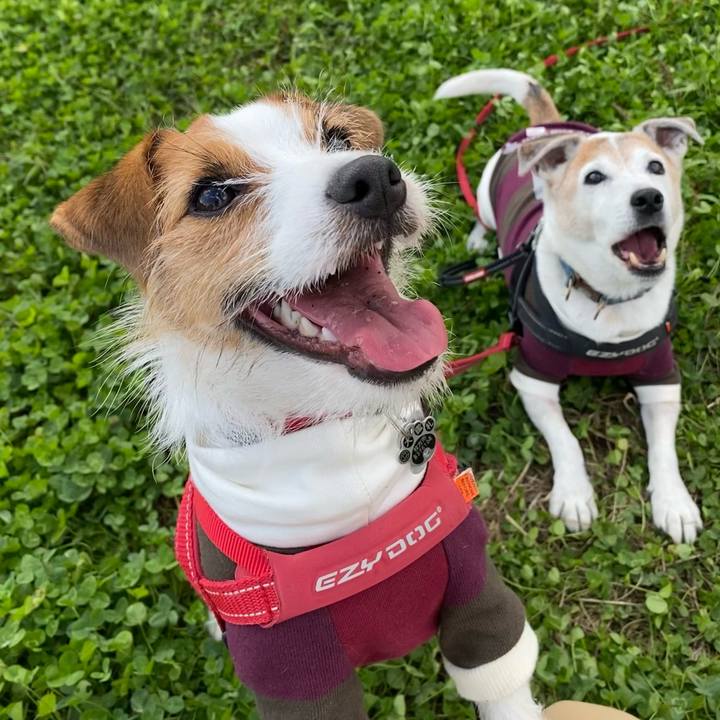 96612292 c439 4d6e aaa0 f05b14c40bd5 1635937702803